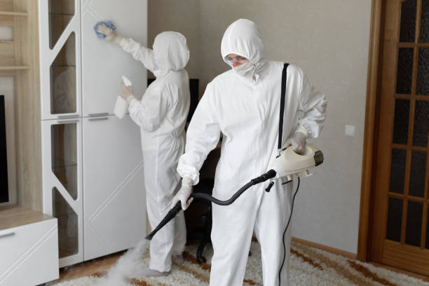 24/7 Emergency Odor Removal experts in Lexington, OH